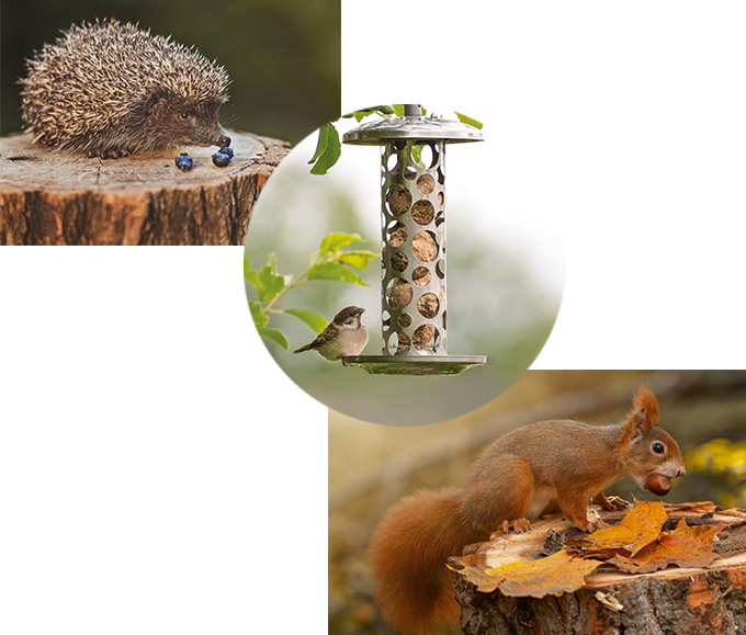 themenwelt was duerfen wildtiere futtern und was nicht 680x579